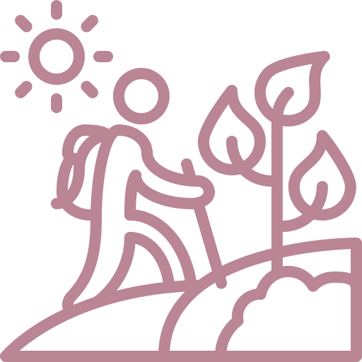solinom image
